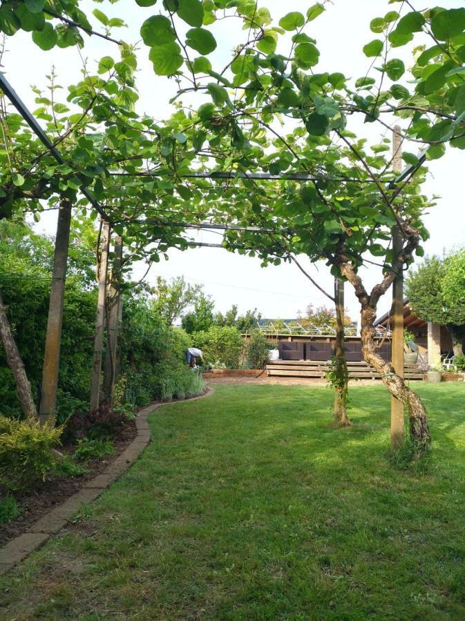 Su Misura Villa Molini  Ngoại thất bức ảnh
